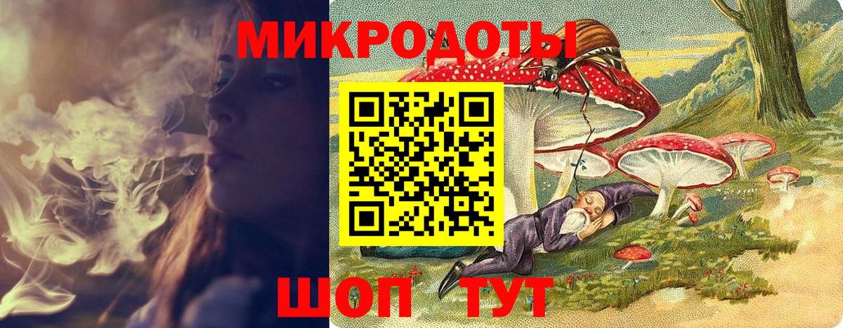 Галлюциногенные грибы Psilocybine cubensis Надым