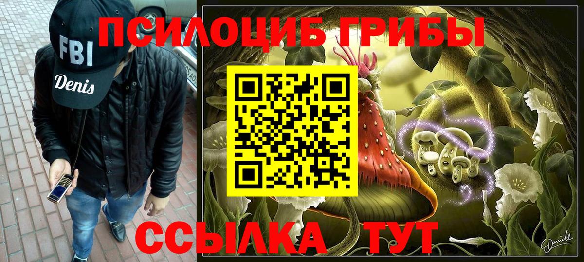 Галлюциногенные грибы GOLDEN TEACHER  Вход с VPN  Надым  Галлюциногенные грибы Cubensis 